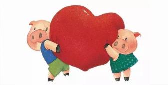 派出所院子里跑進來一只小豬，接下來會發生一系列什么事呢......