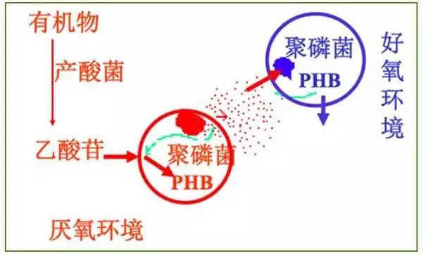 1563436429293854.jpg 1550731126668354-1 (1).jpg